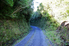 
Summit to Ladle Bend trackbed, September 2009